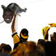 Boswell not pictured. Photo: Gregory Shamus/Getty Images